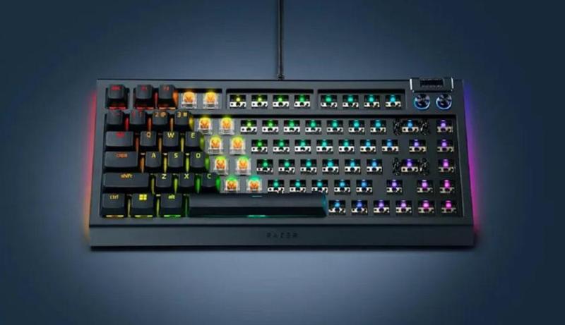 Для любителей кастомизации: Razer представила BlackWidow V4 75% Barebones — механическую клавиатуру без кнопок