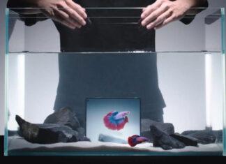 Складной смартфон Vivo X Fold 5 с новой батареей работает даже при -30°C