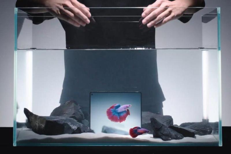 Vivo X Fold 5 можно погружать до 3 метров и складывать 1000 раз под водой (видео)