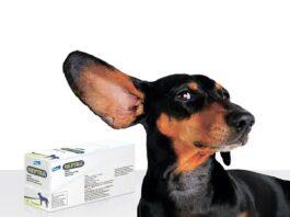 Краплі для лікування зовнішнього отиту у собак