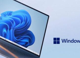 Windows 11 стала самой используемой настольной ОС, спустя почти 4 года после ее выпуска