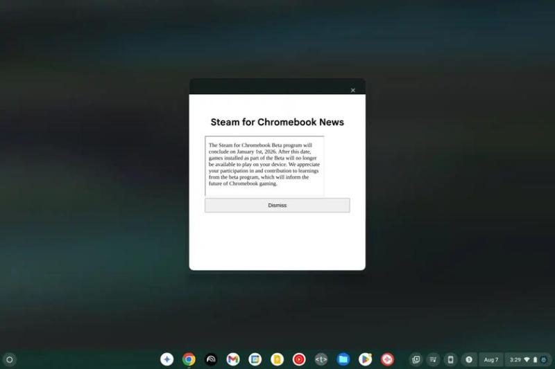 Stem перестанет работать на Chromebook уже 1 января 2026 года