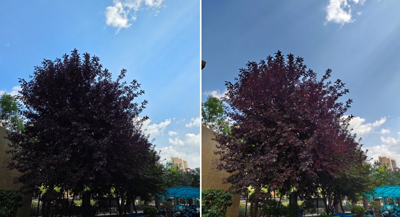 На что способна камера Xiaomi 17 Pro Max: блогер сравнил возможности новинки с другими фотофлагманами