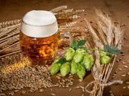 Почему качественный солод — фундамент стабильного пива и роста домашней пивоварни