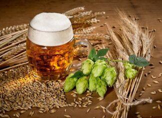 Почему качественный солод — фундамент стабильного пива и роста домашней пивоварни