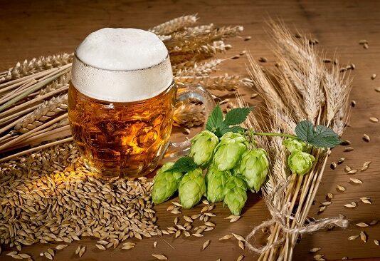 Почему качественный солод — фундамент стабильного пива и роста домашней пивоварни