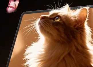 Oppo раскрыла детали Pad Air 5: планшет с killer-экраном и мощной начинкой