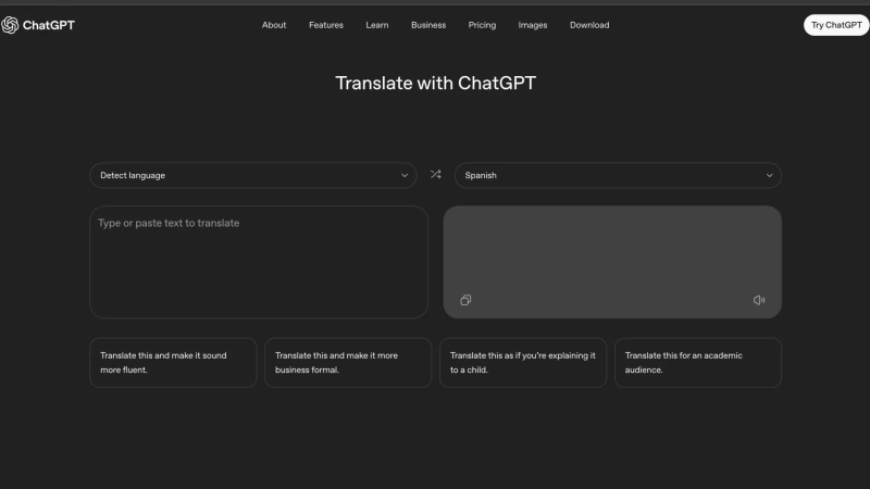 Интерфейс ChatGPT Translate