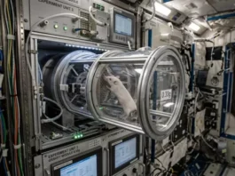 Марсианский приговор мышцам: ученые раскрыли страшную правду о выживании в низкой гравитации