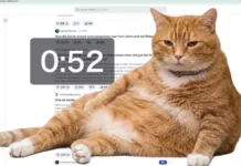 Cat Gatekeeper: Как рыжий кот спасет вас от бесконечного скроллинга в соцсетях