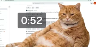 Cat Gatekeeper: Как рыжий кот спасет вас от бесконечного скроллинга в соцсетях