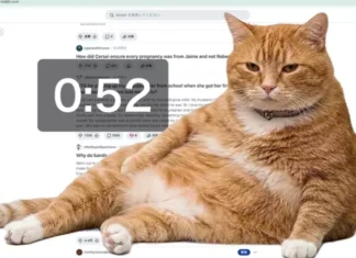 Cat Gatekeeper: Как рыжий кот спасет вас от бесконечного скроллинга в соцсетях