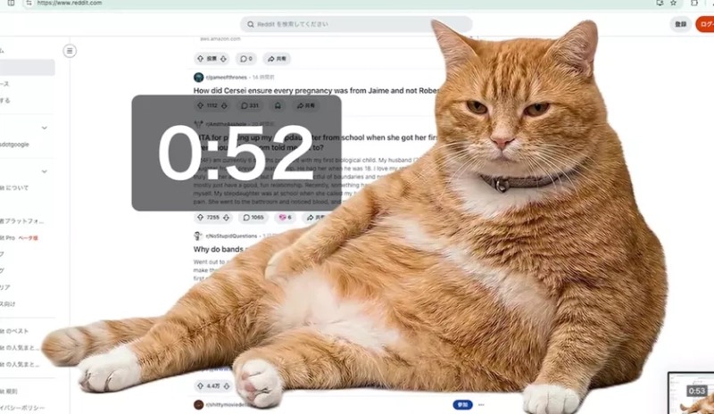 Инновационное расширение Cat Gatekeeper