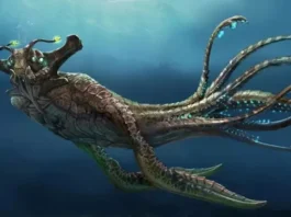 Subnautica 2: Что ждет игроков в ближайших обновлениях?