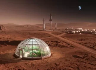 Как марсианская теплица Илона Маска родила революцию SpaceX