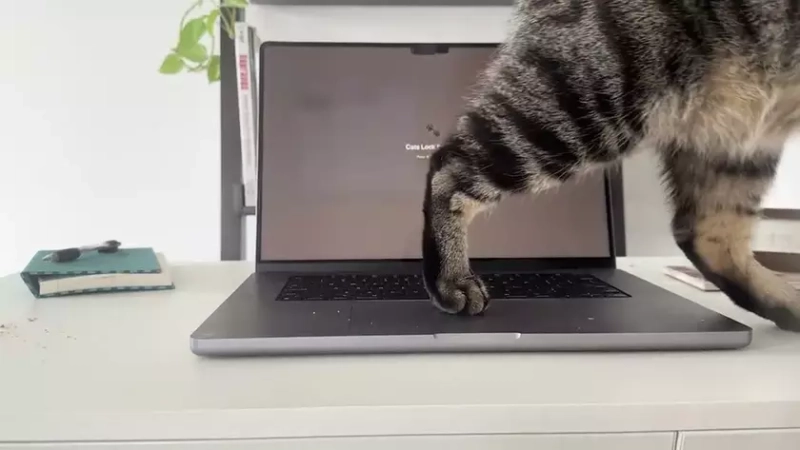 Cats Lock: новая эпоха безопасности для пользователей смартфонов