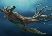 Погружаемся на дно: Subnautica 2 раскрыла дату запуска в раннем доступе