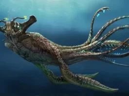 Subnautica 2 раскрыла дату раннего доступа: погружаемся в неизведанные глубины 14 мая