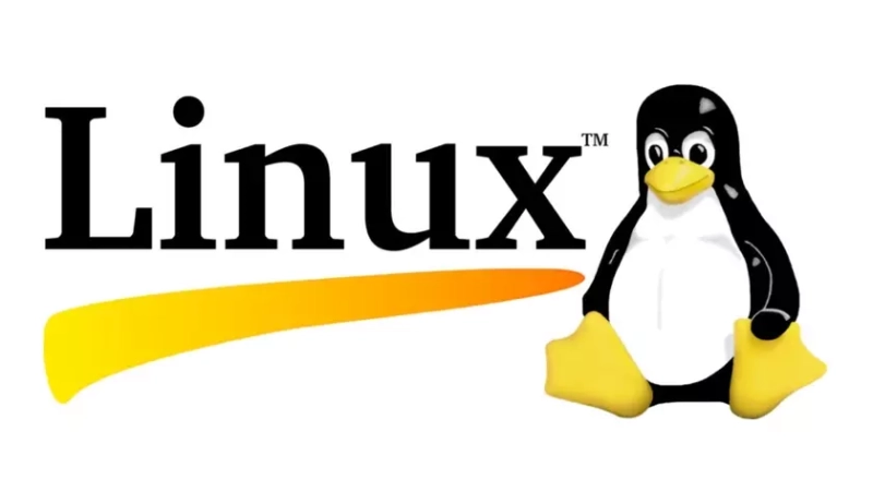 Путь Tux: как пингвин стал лицом Linux