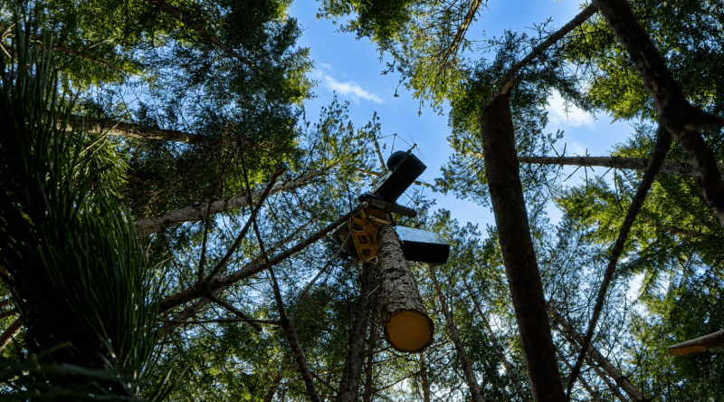 Дрон AirForestry впервые автономно срубил дерево и вынес его из леса