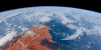 Марс под ключ: SpaceX раскрыла план революционного «космического ремонта» к 2028 году