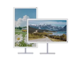 Bigme B251 Pro: монитор на электронных чернилах с 60 Гц для программистов, готовых платить за здоровье глаз