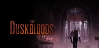 FromSoftware анонсировала дату открытого тестирования The Duskbloods для Nintendo Switch 2: что нужно знать