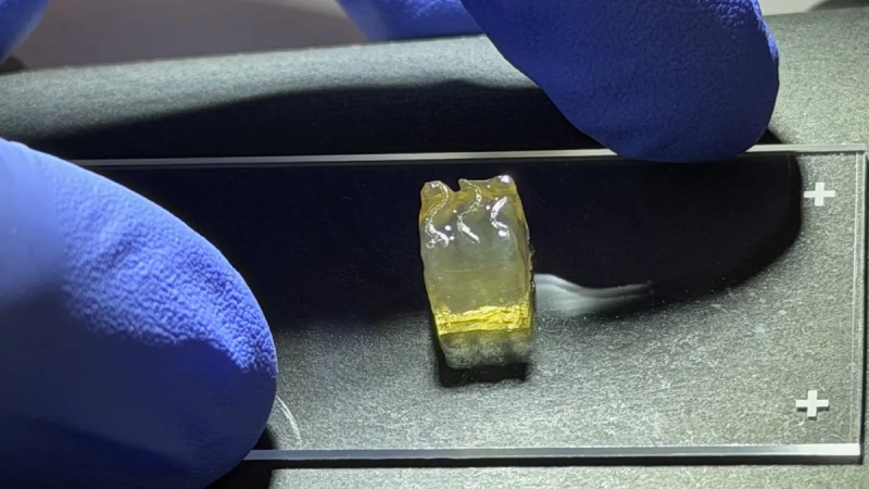 На МКС впервые напечатали живые ткани почки и печени с помощью 3D-биопринтера