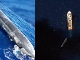 Starship Ship 40 выжил: SpaceX впервые успешно вернула прототип корабля после приводнения