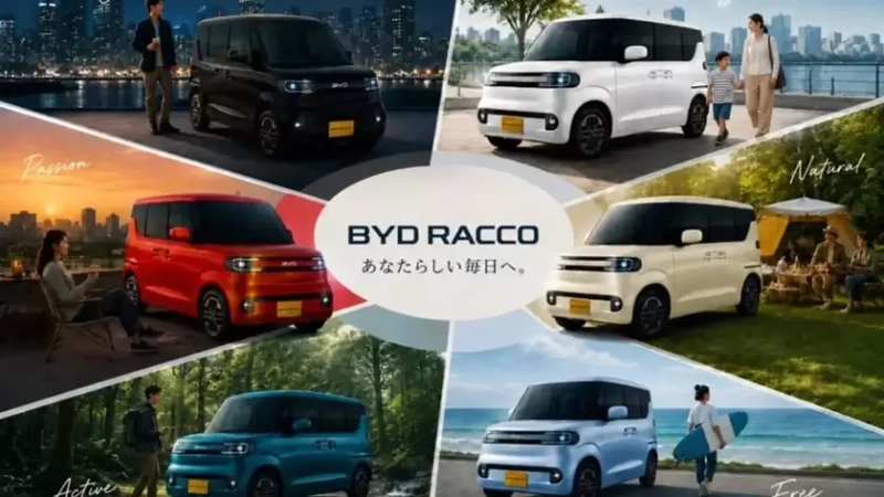 Схема компоновки системы BYD X-Pack