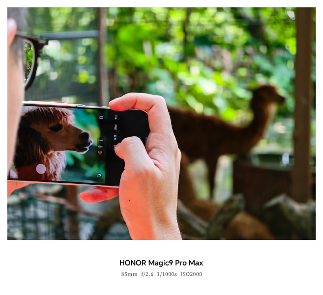 Флагманский зум в действии: оцените первые снимки с камеры Honor Magic 9 Pro Max
