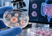 Intero Biosystems представила GastroScreen для тестирования лекарств